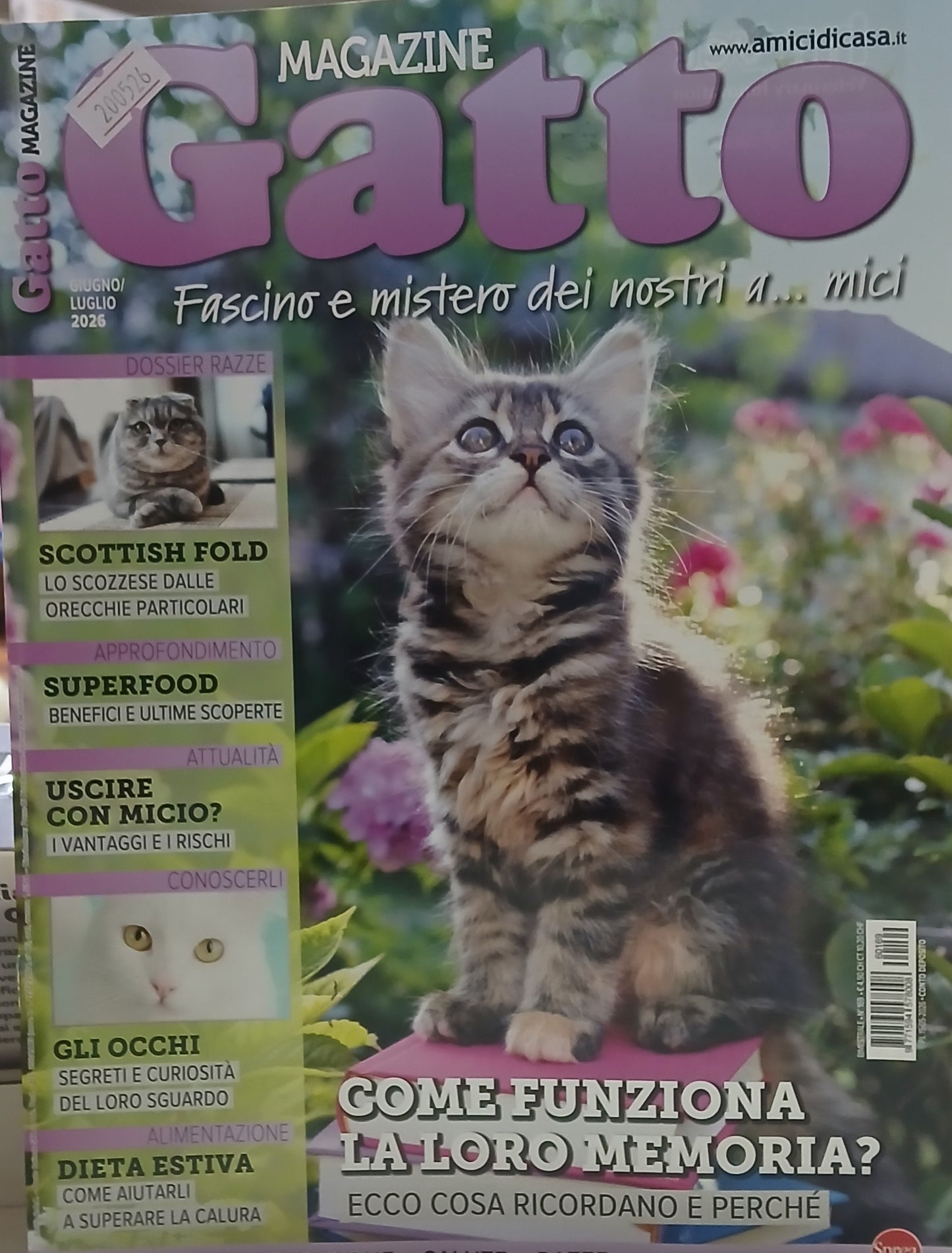 Gatto Magazine - Come funziona la loro memoria? - n.169 - GIUGNO-LUGLIO 2026
