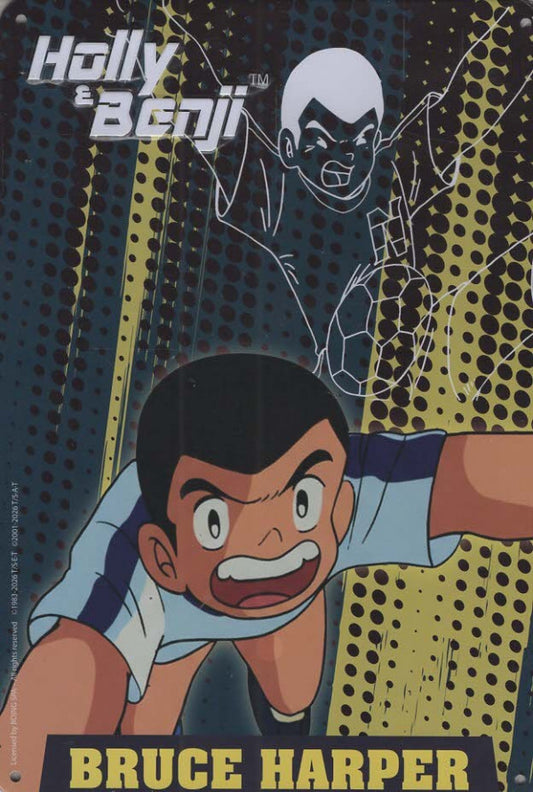 LE TARGHE DI HOLLY & BENJI VOL.6 - BRUCE HARPER